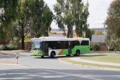 Bus434 - Curran Dr