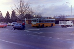 Bus437-WentworthAv-1