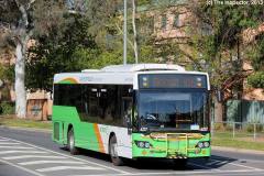 Bus 437 - Ainslie Avenue