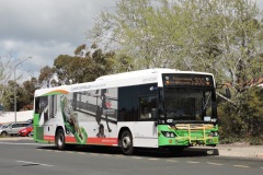 Bus-437-Hardwick-Cres