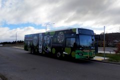 Bus437-Chapman-1