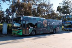 Bus437-CohenStBS-2