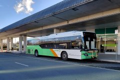 Bus437-TerminalAv-1