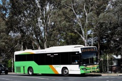 Bus-438-Hodgson-Crescent