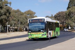 Bus438 - Hodgson Cres
