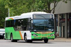 Bus439-AlingaSt-1