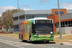 Bus-441-McBryde-Crescent