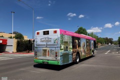 Bus-443-Pitman-Street