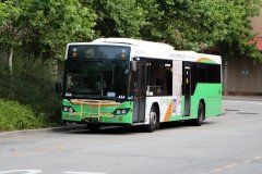 Bus444-TuggBs-1