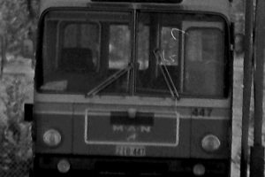BUS 447-1