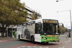 Bus-447-City-Bus-Station