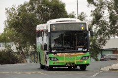Bus-447-Cohen-Street