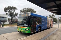 Bus449-Erindale-1