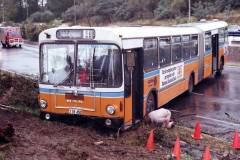 Bus-450-Barry-Drive-7