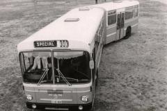 Bus-450-East-Basin