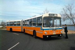Bus450-MenindeeDr-2