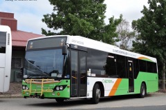 Bus-450-Tuggeranong-Bus-Station