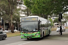 Bus-451-Northbourne-Avenue