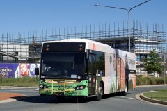 Bus451-KingslandPde-1