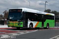 Bus-454-Cohen-Street