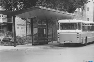 BUS 459-1