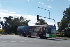 Bus459-CohenSt-1