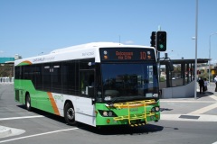 Bus-459-Westfield-Belconnen-Bus-Station