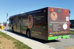 Bus460-Anthony-Rolfe-1