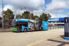 Bus 460 - Cohen St Interchange