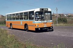 Bus461-Latham-1