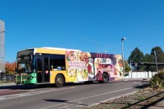 Bus461-CohenSt-1