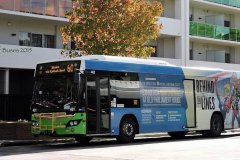 Bus461-Tuggeranong