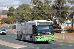 Bus-461-Gilmore-Crescent