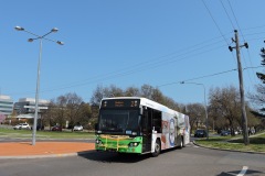 Bus-461-Strickland-Crescent