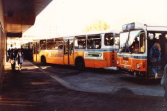 Buses 462 and 444 - Woden Interchange