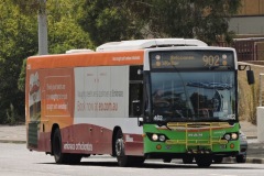Bus-462-Cohen-St