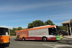 Bus-462-Woden-Bus-Station