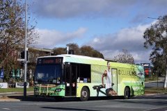 Bus 462-Anthony Rolfe Av