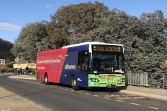 Bus 462 - Box Hill Avenue