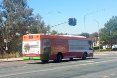 Bus462-CohenSt