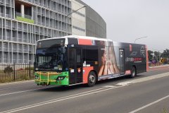 Bus462-CohenSt