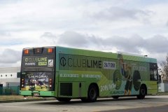 Bus 462-Nomad Dr