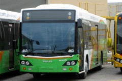 Bus-463-Adelaide