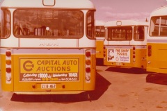Buses-467-404-427