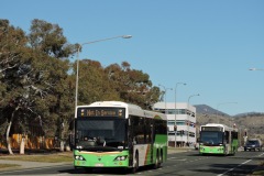 Bus-475-Soward-Way-with-Bus-483-