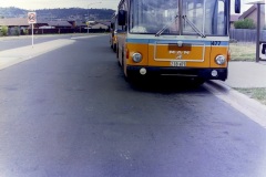 Bus-477-Clift-Cres