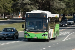 Bus-480-Commonwealth-Avenue
