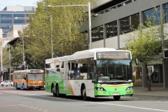 Bus-484-City-Bus-Station-with-Bus-919-