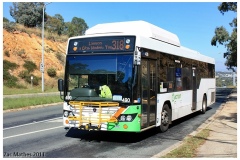 Bus-490-College-Street