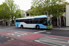 Bus490-Alinga-1